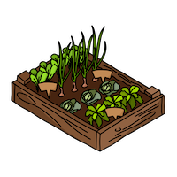 Allotment Veg Patch Allotment Veg Patch